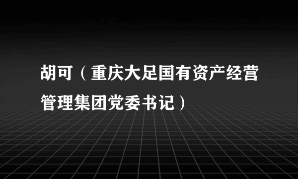 胡可（重庆大足国有资产经营管理集团党委书记）