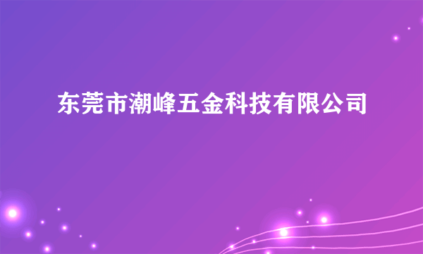 东莞市潮峰五金科技有限公司