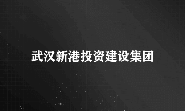 武汉新港投资建设集团