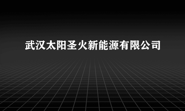 武汉太阳圣火新能源有限公司