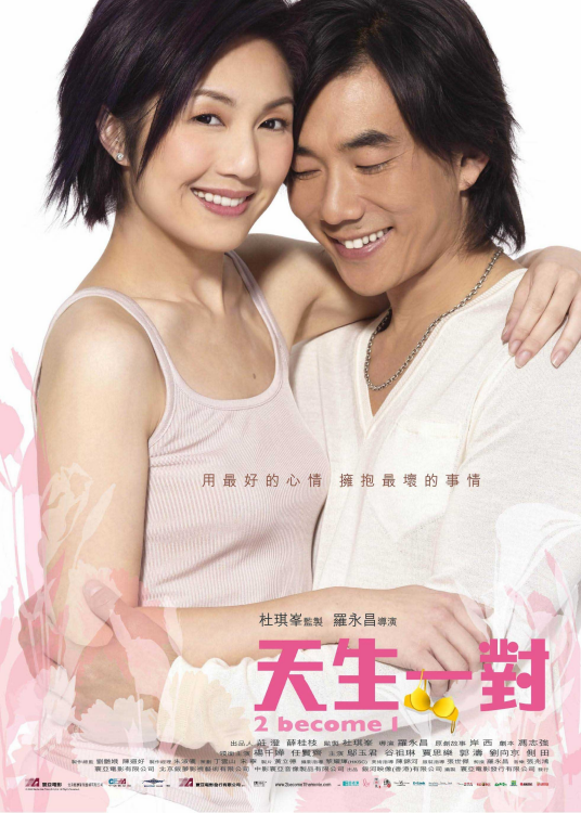 天生一对（2006年罗永昌执导电影）