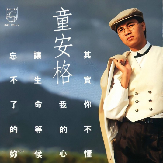 其实你不懂我的心（1989年童安格发行的音乐专辑）