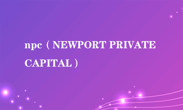 npc（NEWPORT PRIVATE CAPITAL）