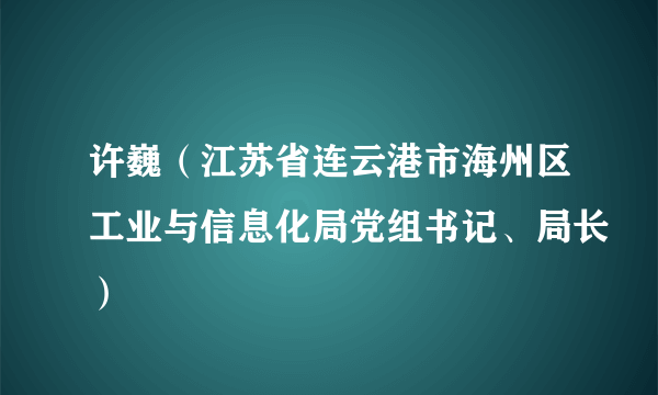 许巍（江苏省连云港市海州区工业与信息化局党组书记、局长）