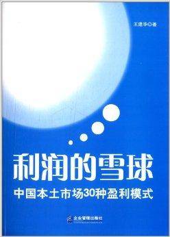 利润的雪球：中国本土市场30种盈利模式