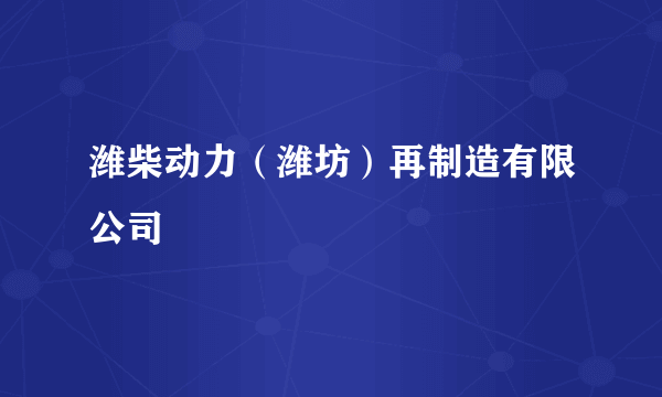 潍柴动力（潍坊）再制造有限公司