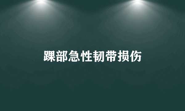 踝部急性韧带损伤