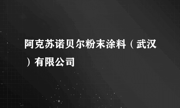 阿克苏诺贝尔粉末涂料（武汉）有限公司