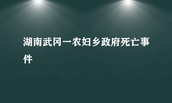 湖南武冈一农妇乡政府死亡事件