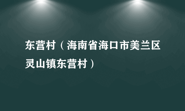 东营村（海南省海口市美兰区灵山镇东营村）