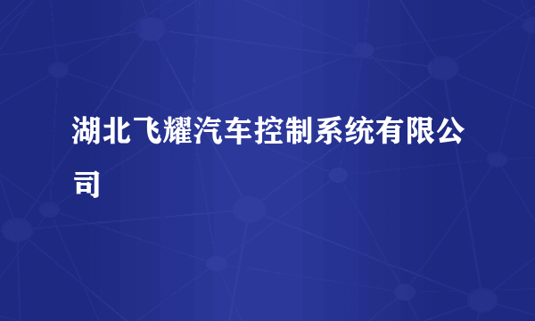 湖北飞耀汽车控制系统有限公司