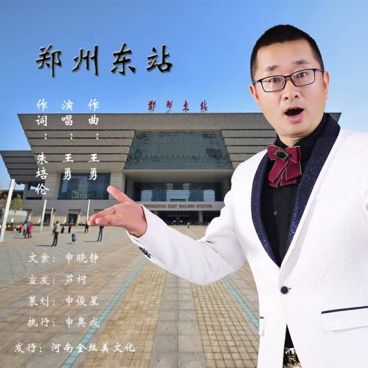 郑州东站（王勇演唱的歌曲）