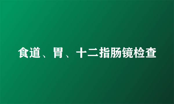 食道、胃、十二指肠镜检查