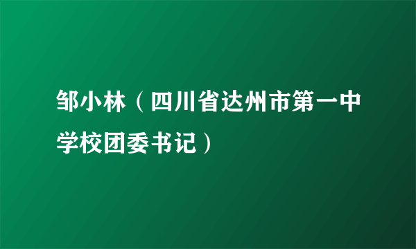 邹小林（四川省达州市第一中学校团委书记）