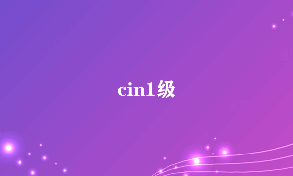 cin1级