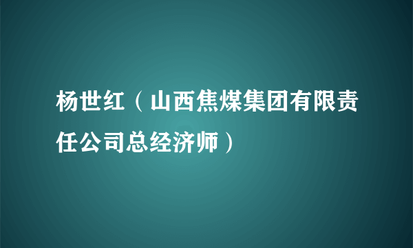 杨世红（山西焦煤集团有限责任公司总经济师）