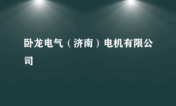 卧龙电气（济南）电机有限公司