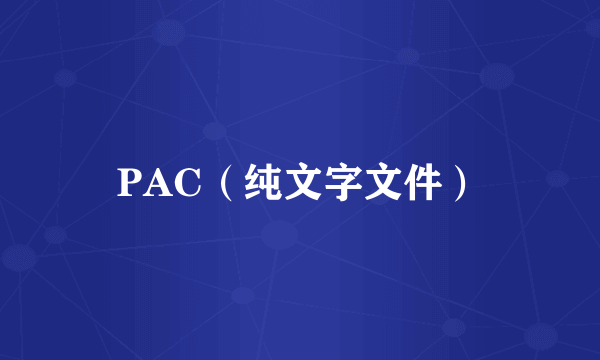 PAC（纯文字文件）