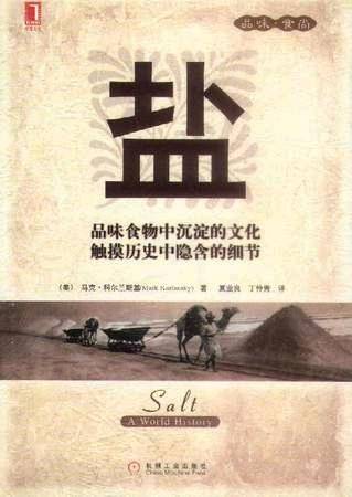 盐（2005年机械工业出版社出版的图书）