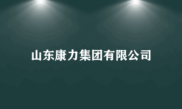 山东康力集团有限公司