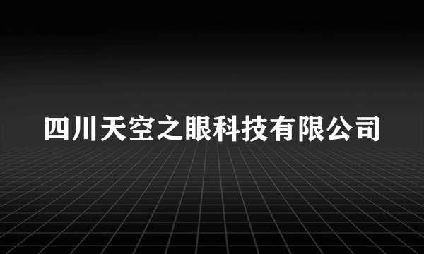 四川天空之眼科技有限公司