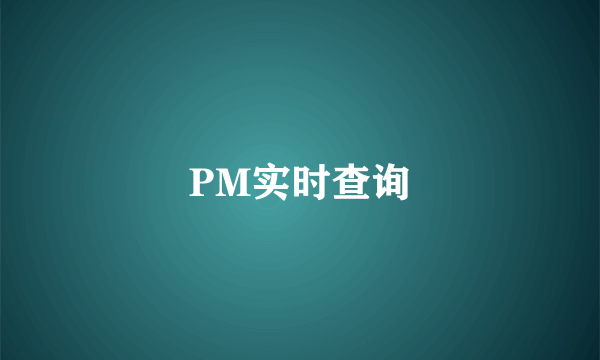 PM实时查询