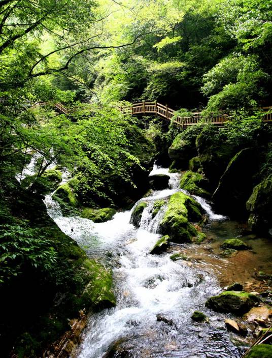 天生桥（湖北省神农架林区天生桥）