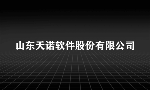 山东天诺软件股份有限公司