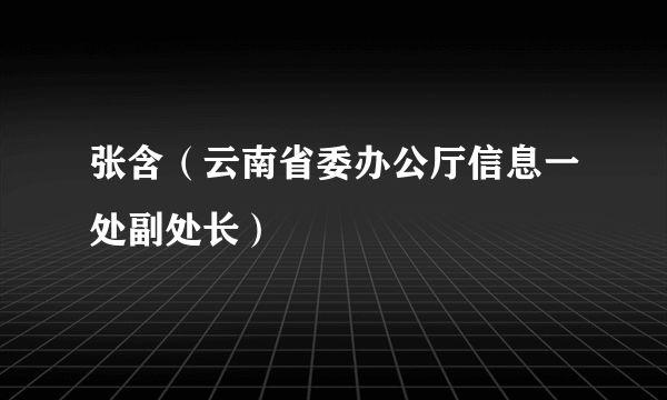 张含（云南省委办公厅信息一处副处长）