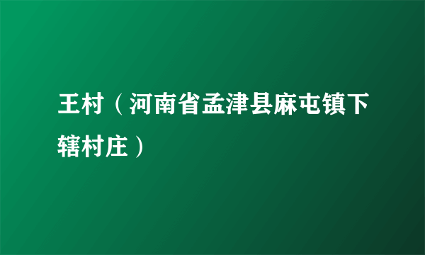 王村（河南省孟津县麻屯镇下辖村庄）