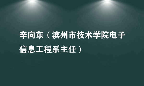 辛向东（滨州市技术学院电子信息工程系主任）