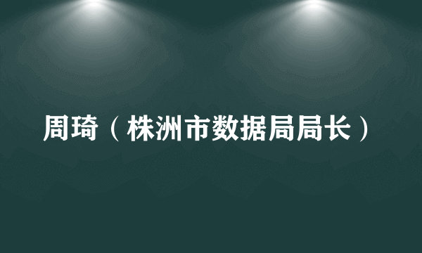 周琦（株洲市数据局局长）