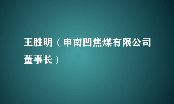 王胜明（申南凹焦煤有限公司董事长）