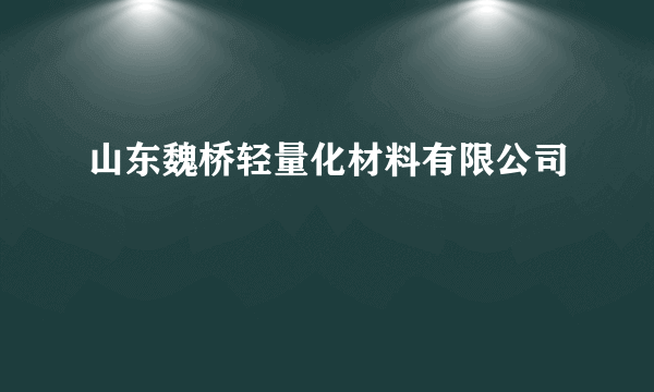 山东魏桥轻量化材料有限公司