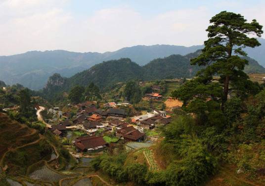 广西元宝山国家级自然保护区