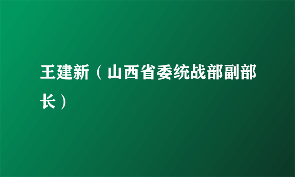 王建新（山西省委统战部副部长）