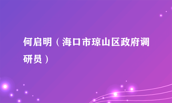 何启明（海口市琼山区政府调研员）