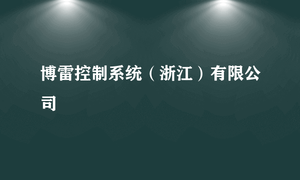 博雷控制系统（浙江）有限公司