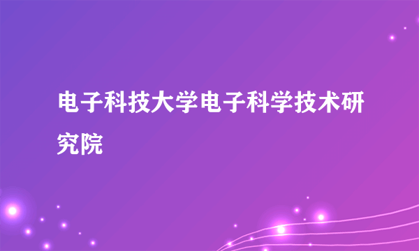 电子科技大学电子科学技术研究院