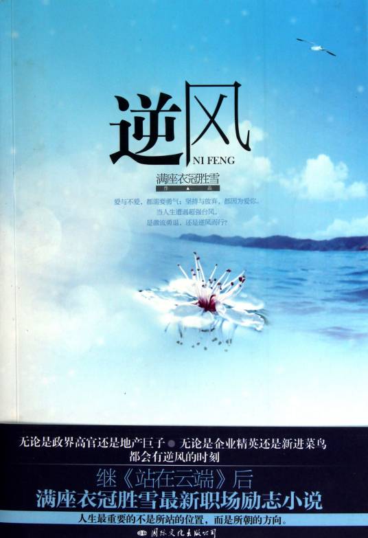 逆风（2009年珠海出版社出版的图书）