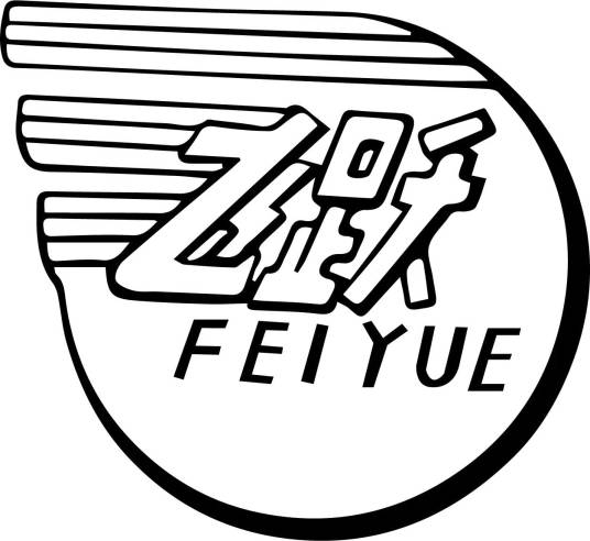 Feiyue