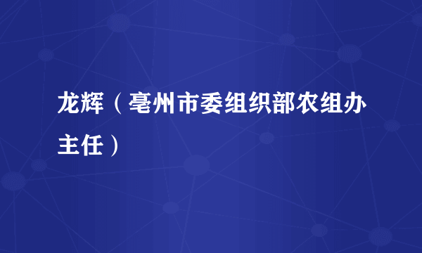 龙辉（亳州市委组织部农组办主任）