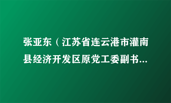 张亚东（江苏省连云港市灌南县经济开发区原党工委副书记、管委会主任）