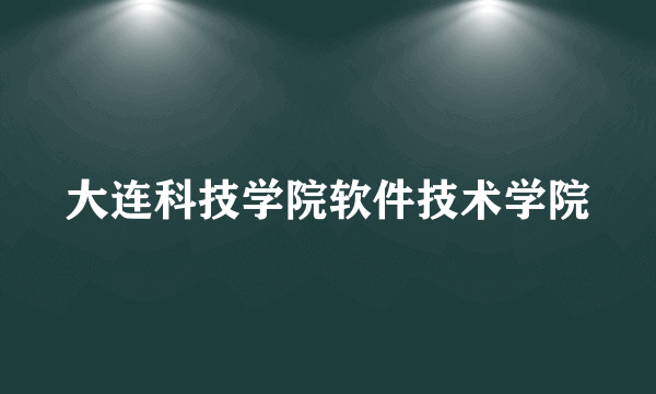 大连科技学院软件技术学院