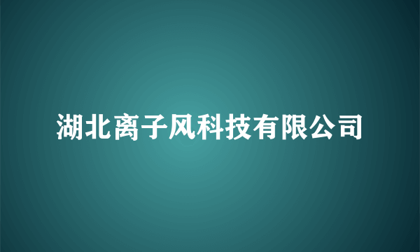 湖北离子风科技有限公司