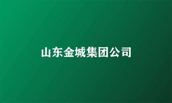 山东金城集团公司