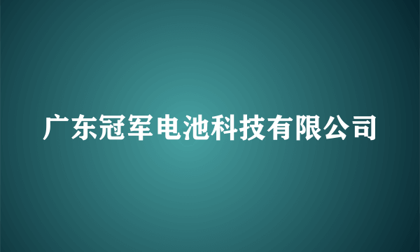 广东冠军电池科技有限公司