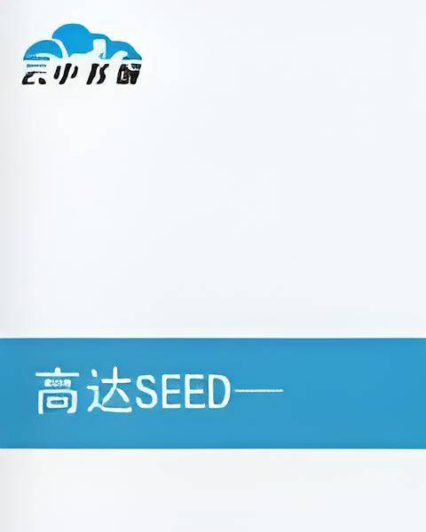 高达SEED——堕落天使