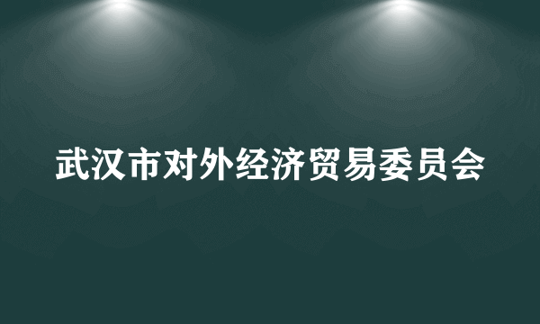 武汉市对外经济贸易委员会