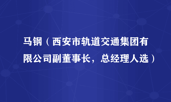 马钢（西安市轨道交通集团有限公司副董事长，总经理人选）